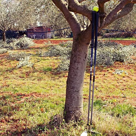 Blue Deer Lägenhet Umag