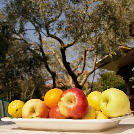 Apartament Blue Deer