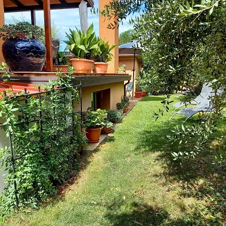 Blue Deer Apartament *