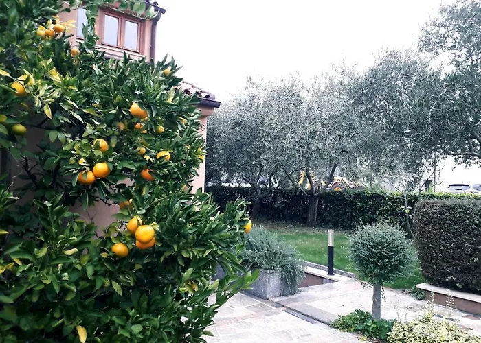 Blue Deer Apartamento *