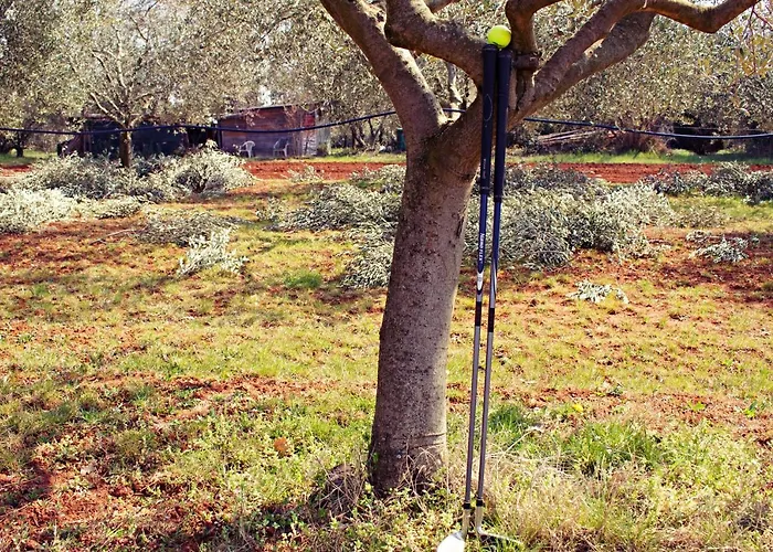 Blue Deer Apartamento Umag