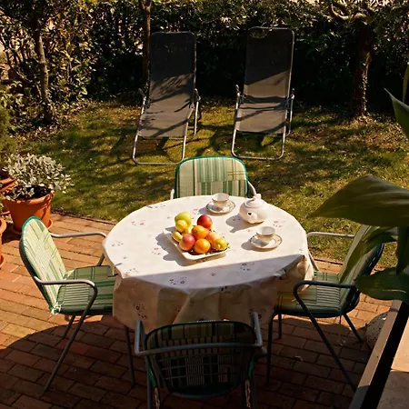 Blue Deer * 乌马格