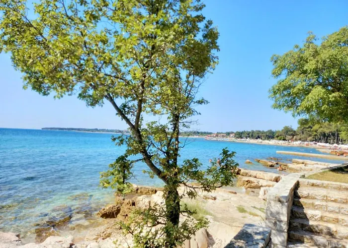 아파트 Blue Deer *