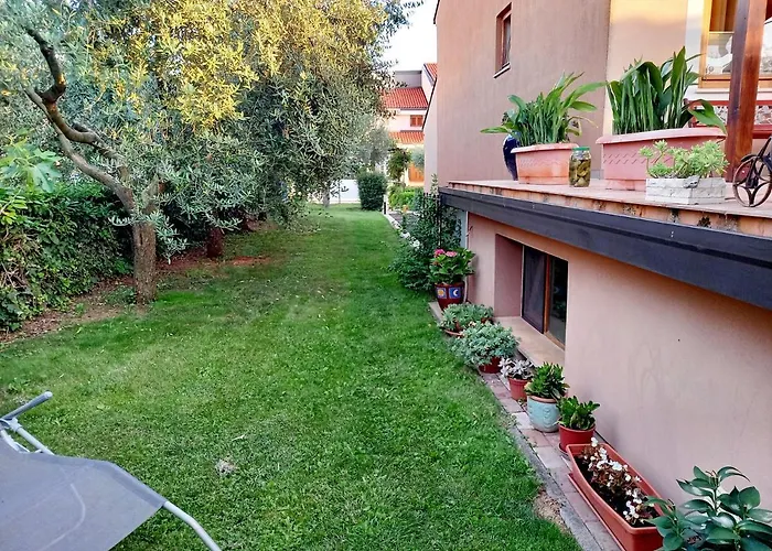 Blue Deer * 우마그